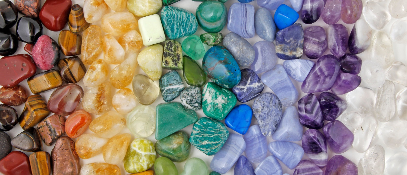 Chakra des genoux